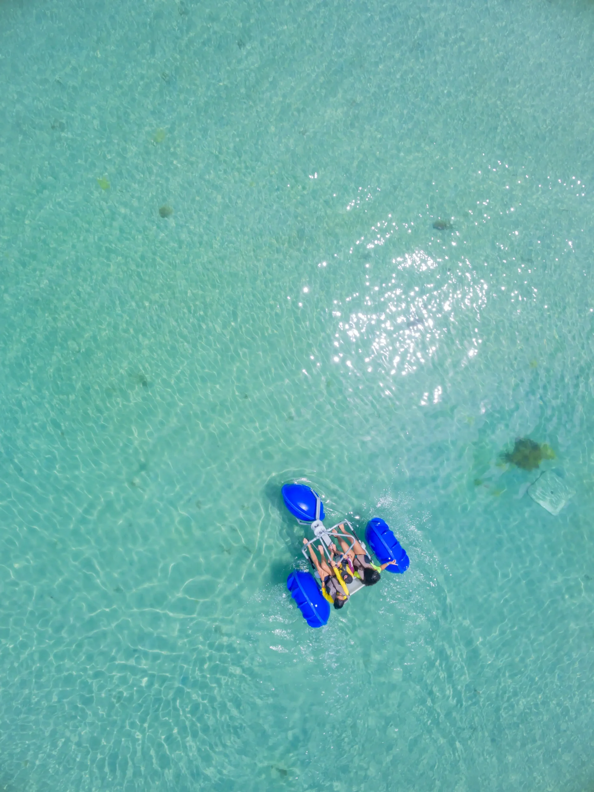 A description of the image for accessibility